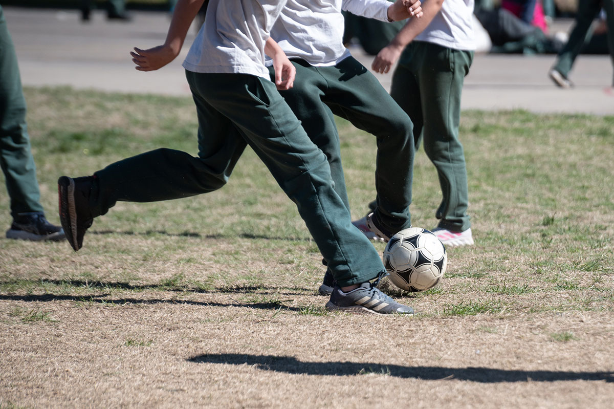 Alumnos secundaria